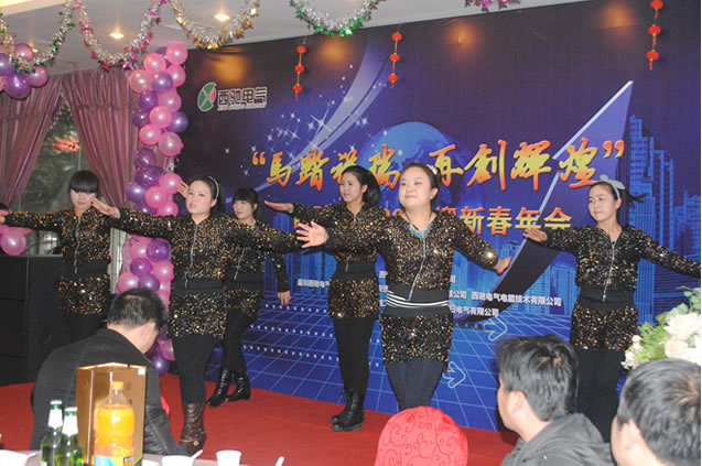 西馳電氣年會圓滿成功(圖9) 西馳電氣年會圓滿成功(圖9)